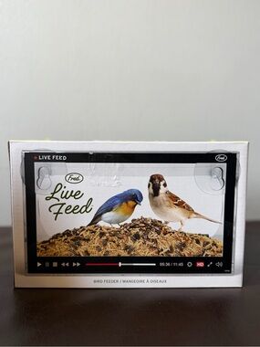 Live Feed Window Bird Feeder video picture window home holiday kids travel house